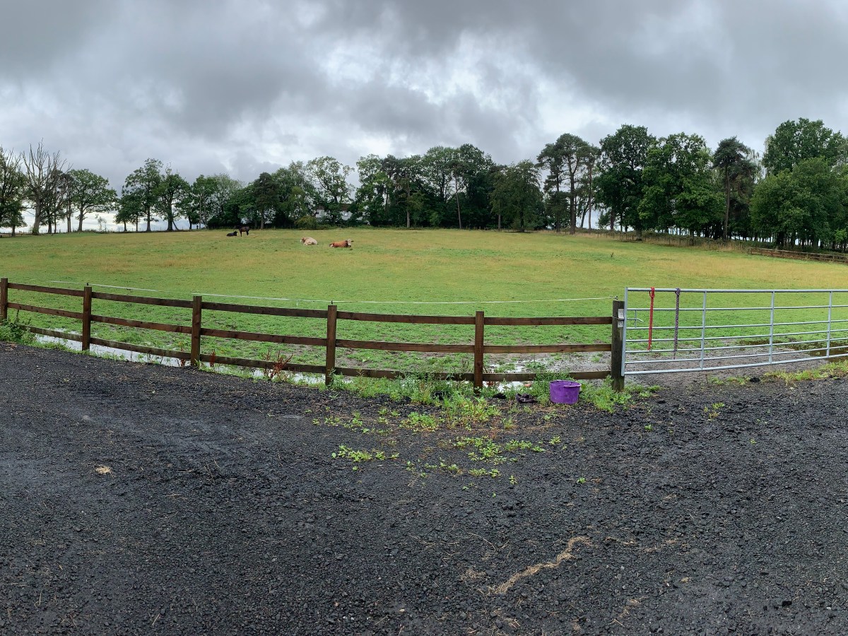 Change of Use Planning Application from agricultural land to dog exercise field